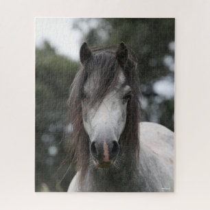 Bob Langrish   Grey Welsh Pony Headshot Jigsaw Puzzle
