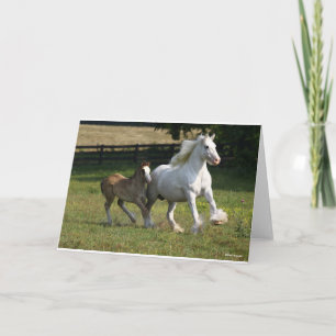 Bob Langrish   Gypsy Vanner Horse Mare & Foal Card