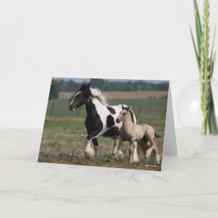Bob Langrish   Gypsy Vanner Mare and Foal Running Card