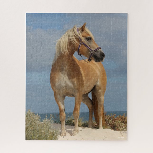 Bob Langrish | Haflinger Standing On Beach Jigsaw Puzzle (Vertical)