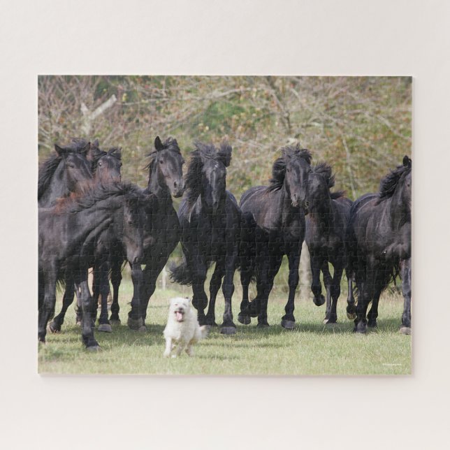 Bob Langrish | Herd Black Meren Horses and Dog Jigsaw Puzzle (Horizontal)