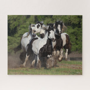 Bob Langrish   Herd Gypsy Vanners Running Jigsaw Puzzle