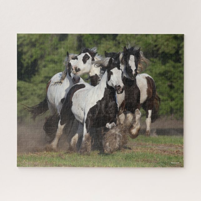 Bob Langrish | Herd Gypsy Vanners Running Jigsaw Puzzle (Horizontal)