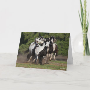 Bob Langrish   Herd Of Gypsy Vanner Horses Running Card