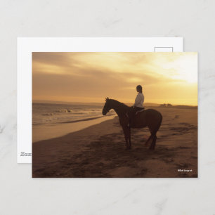 Bob Langrish   Horse and Rider On Beach at Sunset Postcard