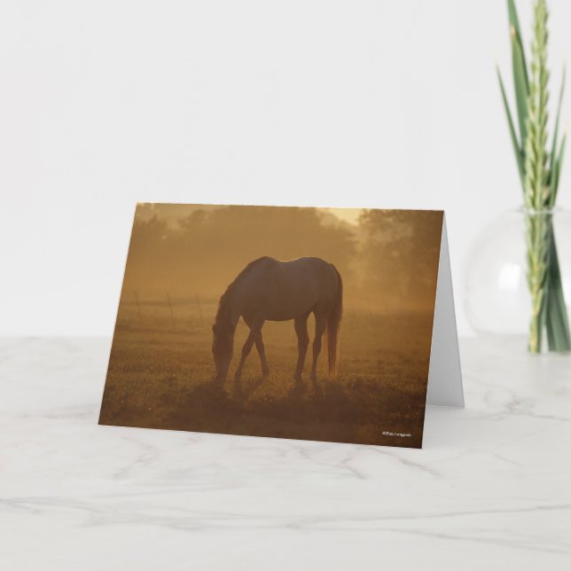 Bob Langrish | Horse Grazing Sunrise Card (Front)