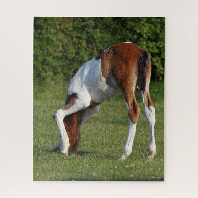 Bob Langrish | Irish Sport Horse Foal Grazing Jigsaw Puzzle (Vertical)