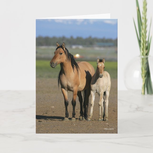 Bob Langrish Kiger Mustang Mare and Foal Standing Card (Front)