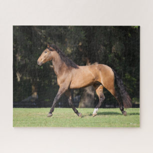 Bob Langrish   Light Bay Lusitano Running Jigsaw Puzzle