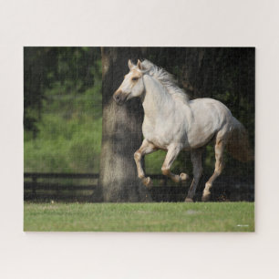 Bob Langrish   Lusitano Horse Running Jigsaw Puzzle
