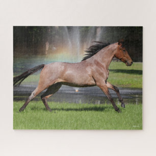Bob Langrish   Mangalarga Horse Running Rainbow Jigsaw Puzzle