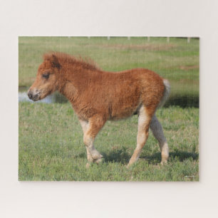 Bob Langrish   Miniature Foal Walking Jigsaw Puzzle