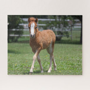 Bob Langrish   Miniature Pony Foal Walking Jigsaw Puzzle