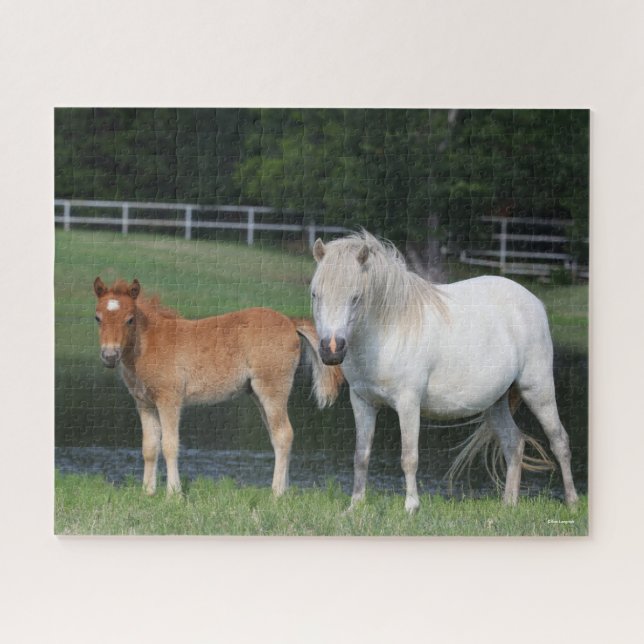 Bob Langrish Miniature Pony Mare and Foal Standing Jigsaw Puzzle (Horizontal)
