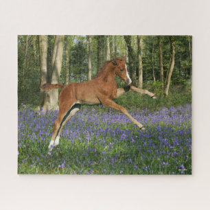 Bob Langrish Morgan Foal Leaping With Bluebells Jigsaw Puzzle