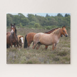 Bob Langrish   New Forest Ponies and Foal Jigsaw Puzzle