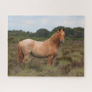Bob Langrish   New Forest Pony Standing In Scrub Jigsaw Puzzle