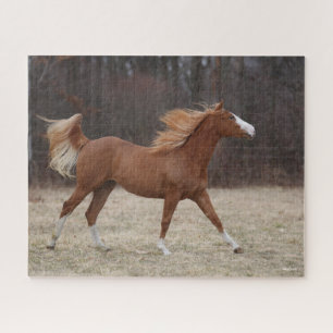 Bob Langrish   Overo Paint Horse Running Jigsaw Puzzle