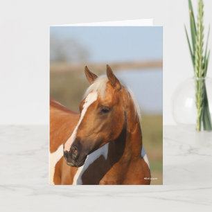 Bob Langrish   Paint Horse headshot Card