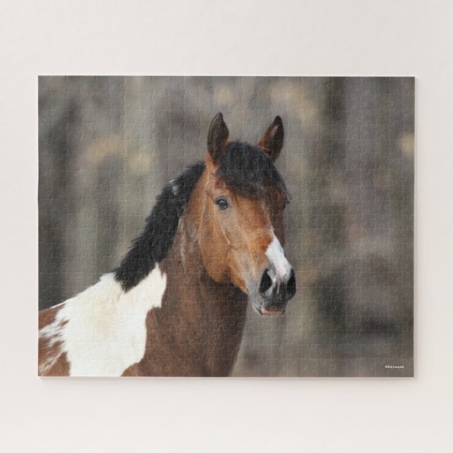 Bob Langrish | Paint Horse headshot Jigsaw Puzzle (Horizontal)