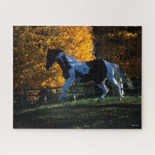 Bob Langrish   Paint Horse Running  Autumn Jigsaw Puzzle
