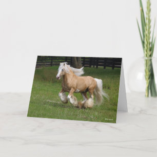 Bob Langrish   Palomino Gypsy Vanner Horse Running Card