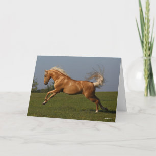 Bob Langrish   Palomino Lusitano Stallion Leaping Card