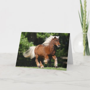 Bob Langrish   Palomino Miniature Pony Running Card