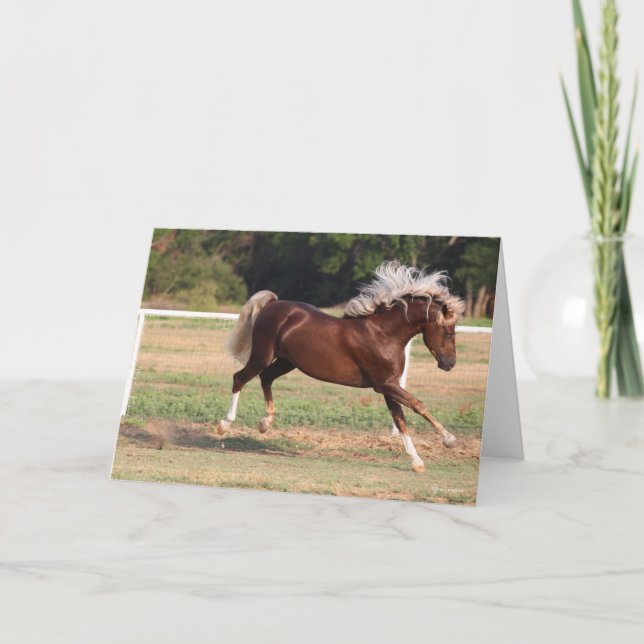 Bob Langrish | Palomino Morgan Horse Bucking Card (Front)