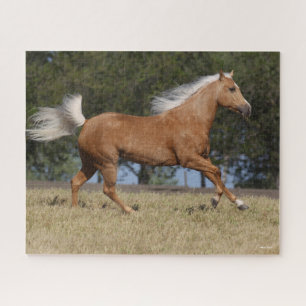Bob Langrish   Palomino Quarter Horse Running Jigsaw Puzzle