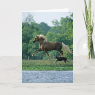 Bob Langrish   Palomino Tennessee Walker and Dog Card