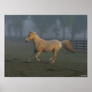 Bob Langrish Palomino Tennessee Walker in Mist Poster