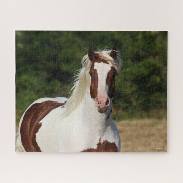 Bob Langrish | Pinto Haflinger Headshot Jigsaw Puzzle (Horizontal)