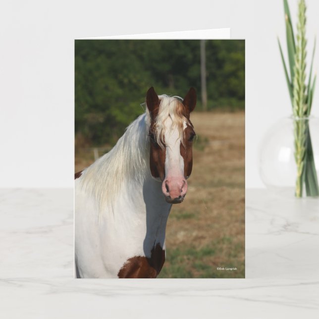 Bob Langrish | Pinto Haflinger Horse Headshot Card (Front)