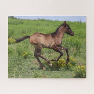 Bob Langrish   Quarter Horse Foal Running Jigsaw Puzzle