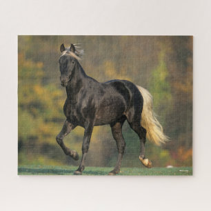 Bob Langrish   Rocky Mountain Horse Autumn Jigsaw Puzzle