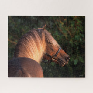 Bob Langrish   Rocky Mountain Horse headshot Jigsaw Puzzle