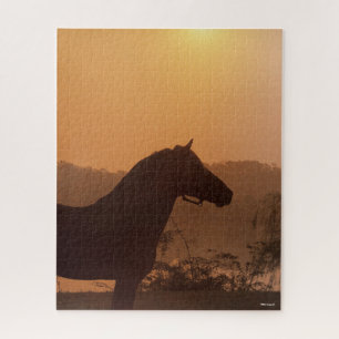 Bob Langrish   Rocky Mountain Horse Silhouette Jigsaw Puzzle