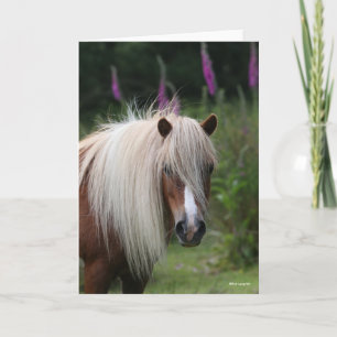 Bob Langrish   Shetland Pony headshot With Flowers Card