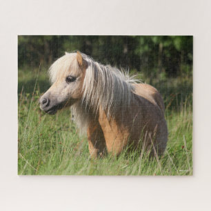 Bob Langrish Shetland Pony Standing in Long Grass Jigsaw Puzzle