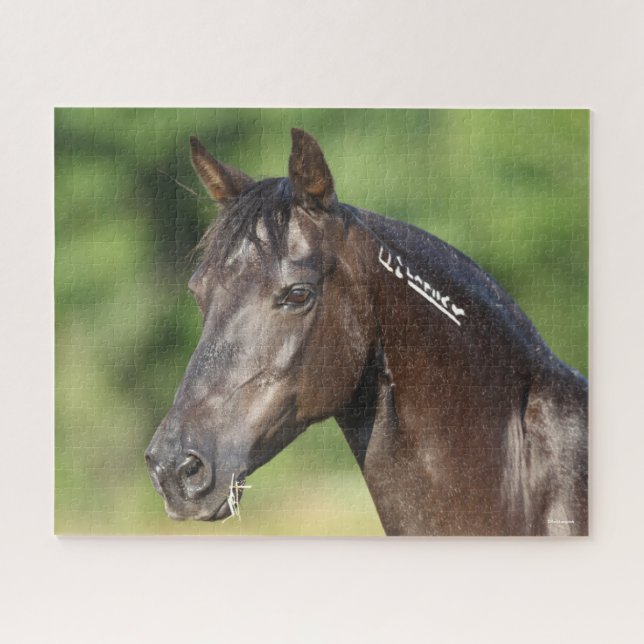 Bob Langrish | Spanish Mustang Mare Headshot Jigsaw Puzzle (Horizontal)