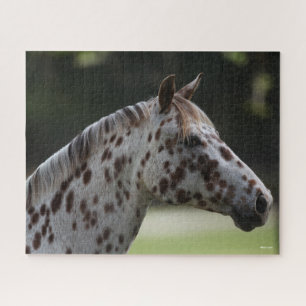 Bob Langrish Spotty Appaloosa Headshot Jigsaw Puzzle