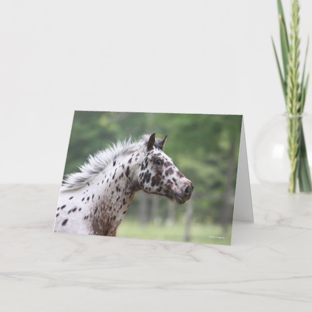 Bob Langrish | Spotty Knapstrupper Headshot Card (Front)