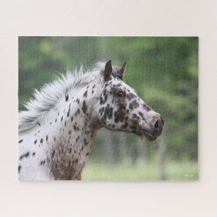 Bob Langrish Spotty Knapstrupper Headshot Jigsaw Puzzle