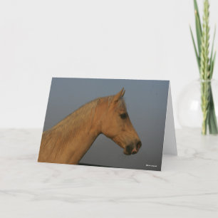 Bob Langrish   Tennessee Walker Misty Headshot Card