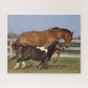 Bob Langrish   Thoroughbred and Shetland Pony Jigsaw Puzzle