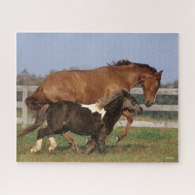 Bob Langrish | Thoroughbred and Shetland Pony Jigsaw Puzzle (Horizontal)