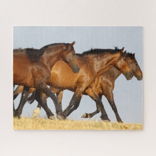 Bob Langrish   Three Andalucian Mares Running Jigsaw Puzzle