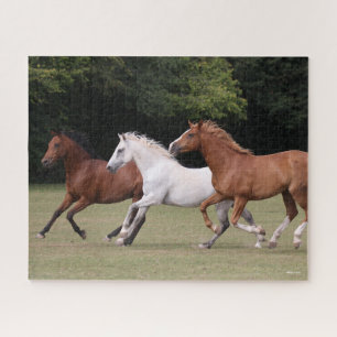 Bob Langrish   Three Arab Horses Running Together Jigsaw Puzzle