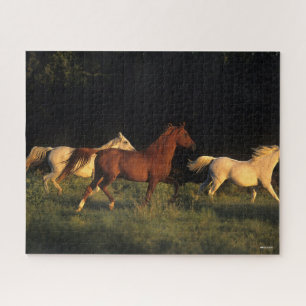 Bob Langrish Three Arabs Running In Evening Light Jigsaw Puzzle
